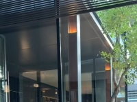 3号巡游深圳，贱狗来