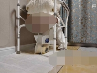 lpmnj分享国产精神小妹调教坐便器强制黄金圣水