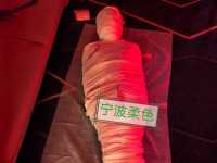 木乃伊放置