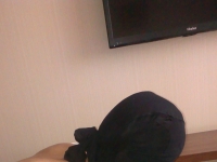 唐心女王调教贱狗小王子