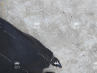 工作调动，要去肇庆待三个月。广州郑州暂时不回啦