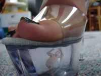 PS:犯了错，主人罚我在她鞋子里呆一天