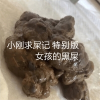 小刚求屎记特别版第一至第八回 批量下载