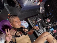 已到上海，强制虐犬