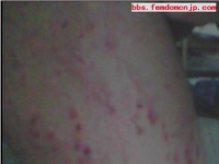 当鞭子亲吻你的狗皮时