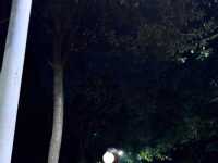 （网）傻逼奴才 跪下来好好服饰主人