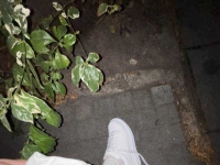 停车场面交原味，刺激吗