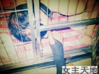 北京奴儿爬过来