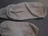 【巡游】大连了找视频狗更新很多浓痰舔鞋底爆虐