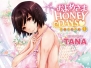 OVA およめさまHONEYDAYS 1