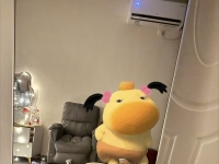 在主人臀下的幸福小狗