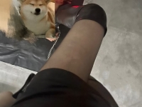 南京南星s