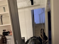 人体摇摇马，十字架全身固定呼吸控制