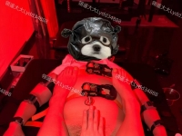 痛苦，才是你来找我的目的