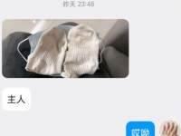 闪现惠州 ​机不可失 ​再过来要过年回家巡游的时候啦