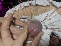 狗鸡巴被扎满，变成刺猬龟头，鲜血直流