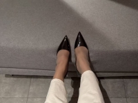 库里丝调狗，预约有优惠