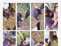 心晨户外双S调狗强制升水