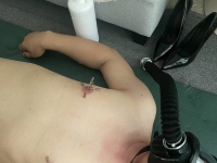 圈养的快乐你想象不到