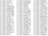 【中日资源】 Vinnie维妮/413部/多奴/母畜/第一视角