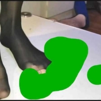 国产隔板踩射71分