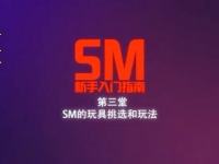 首发国产 圈内女主详细讲解新手SM入门带你了解真正的调教