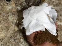 招圈养犬，完全畜化管理