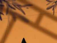 主人的一切都是最高贵的 你这个傻逼垃圾