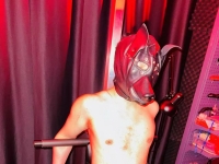 全身固定，强制黄金