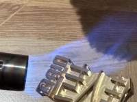 【佳人S】收了一条终身狗