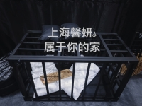 上海馨妍有专业教师上课了