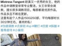 Mistress Tangent 欧美优秀的擅长tj的女主 150G250部