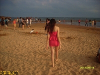 狗狗乖 过来 把主人脚上是沙子清理干净