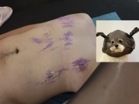 紫色蜡烛