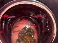 上海，深圳，圈养人厕（1）