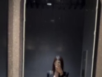 广州调狗