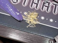 下雨了，约调的最佳时间