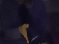 广州调狗