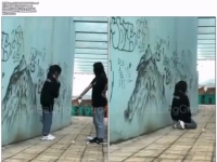 真实女女校园霸凌 800部