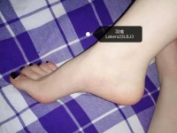 深圳的小狗狗舔脚脚