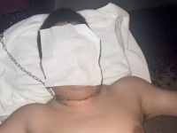 北京强制黄金犬！