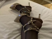 贱狗们的狗鸡巴看硬了没