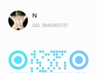 本主上课联系方式