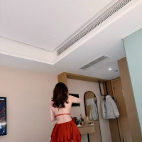 上海的狗子们抓紧时间，主人要去南方过冬了