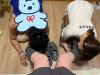 奴下奴的快乐