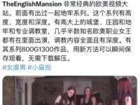 TheEnglishMansion 非常经典的欧美视频大站 800G1300部作品