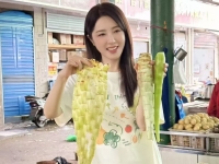 4.11明星原味更新