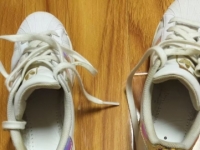 大连 沈阳的狗子想被这样对待么