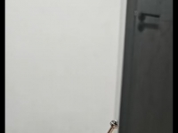 看看我狗狗的马眼深不深