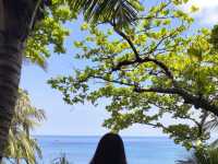 北京蓝蓝s 《五月的春风 记那一抹温柔》